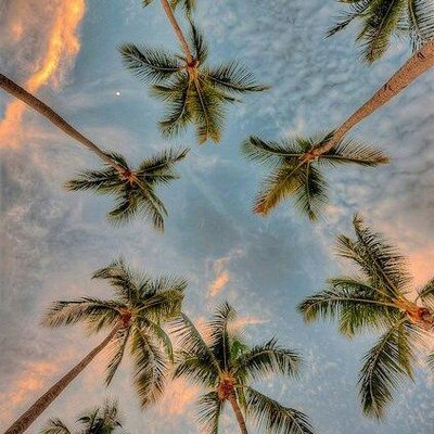 Profile Picture of Lucila Colon (@chuumi2) on Twitter