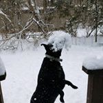 Profile Picture of Chad Fowler (@chad2969.roscoe) on Instagram