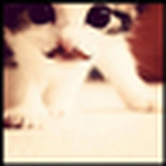 Profile Picture of Maria Jose Soto Leyva (@meriajose) on Flickr