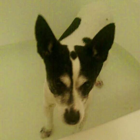 Profile Picture of Michaela De castro (@mikaddc) on Poshmark