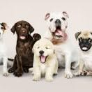 Profile Picture of Cody Longfield (@Cody-Longfield) on Facebook