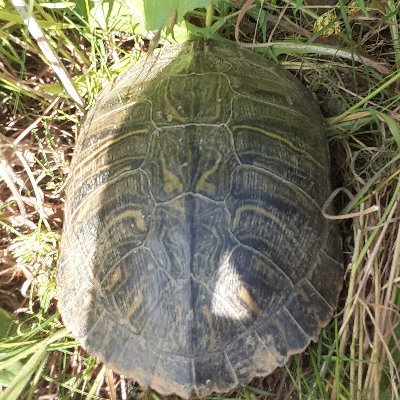 Thomas Drexler - Twitter Profile Picture of Thomas Drexler (@Thomasdrexler5) on Twitter