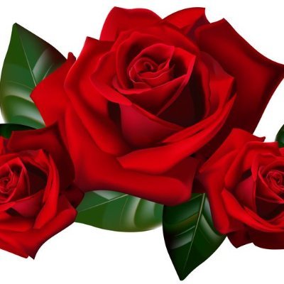 Profile Picture of Chloe Rasmussen (@rassie54) on Twitter