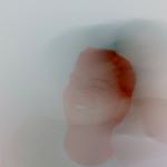 Profile Picture of Juan Felipe Barreto Rengifo (@juanfbarretor) on Instagram