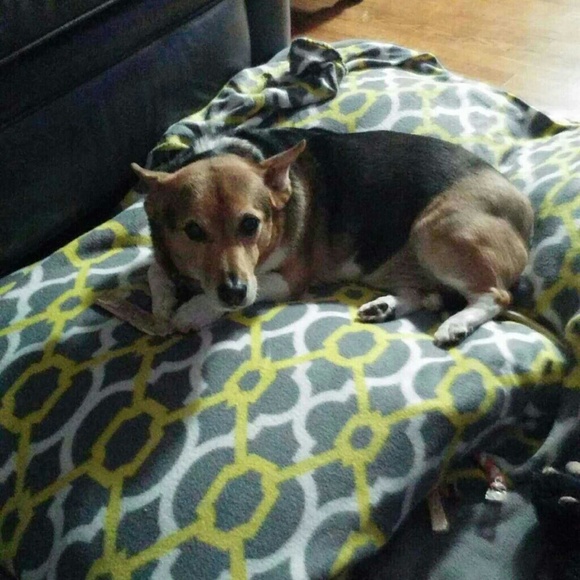 Profile Picture of Jen Kernya (@jkernya1) on Poshmark