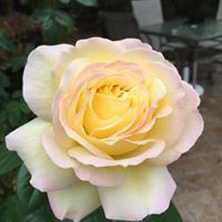 Profile Picture of Linda Muhl (@linda-muhl) on Quora