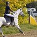 Profile Picture of Laura Kneip (@kneiplaura) on Pinterest