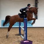 Profile Picture of Chris Linton (@lintonshowjumping) on Instagram