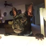 Profile Picture of Clarissa Harrold (@clarissaraina) on Instagram