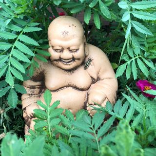 Profile Picture of Margaret Gaarder (@margaret.gaarder) on Facebook