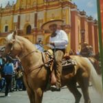 Profile Picture of pablo Francisco Villafuerte Li (@pablofranciscovillafuerte) on Instagram