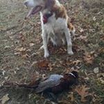 Profile Picture of Scott Senecal (@scottsenecal) on Instagram