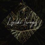 Profile Picture of Stephen Clifford Mulles (@lifelike.images) on Instagram