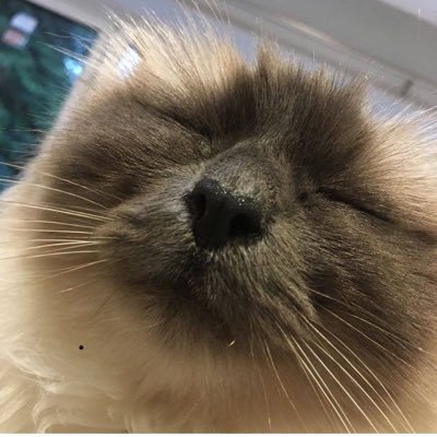 Profile Picture of Misty Scott (@MistyScottMuse) on Twitter