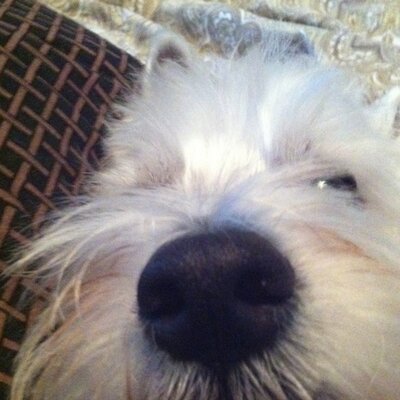 Profile Picture of PATRICE ONEAL In Loving Memory (@BIGMOMMAPRODS) on Twitter