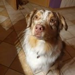 Profile Picture of Thomas Noll (@thomasnoll0502) on Instagram