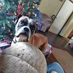 Profile Picture of Jeremy Crouse (@jeremycrouse1983) on Instagram