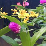 Profile Picture of Fatima Serrano (@fatima.serrano.351) on Instagram