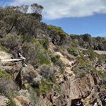 Profile Picture of Jason Lake (@jason.lake_) on Instagram