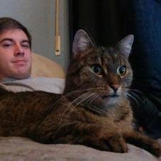 Profile Picture of Thomas Blau (@TomOnABluemoon) on Twitter