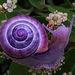 Profile Picture of Marilyn Ruuska (@spinkx) on Pinterest