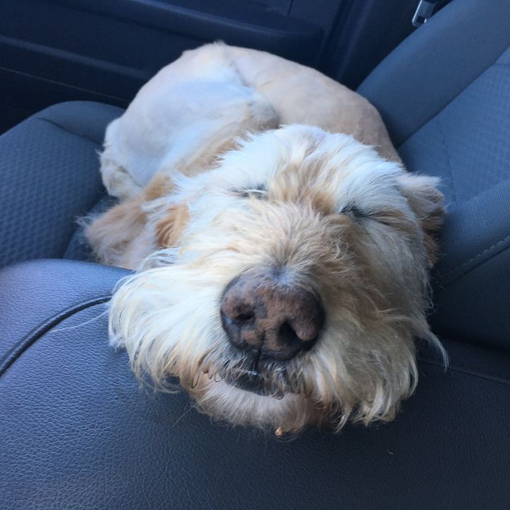 Profile Picture of chadwickperry7 (@chadwickperry7) on Tiktok