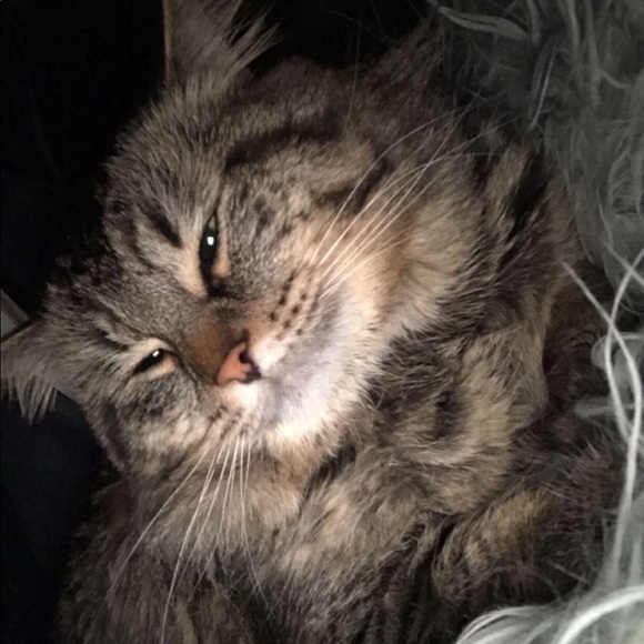 Profile Picture of Karlie Tombaugh (@karlietombaugh2) on Poshmark