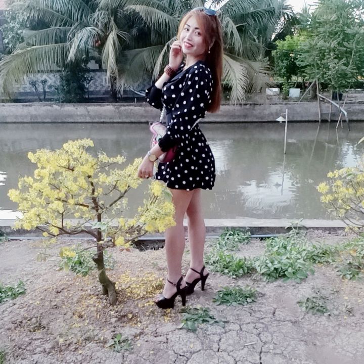 Profile Picture of Holly Nguyen (@hollynguyen6) on Tiktok