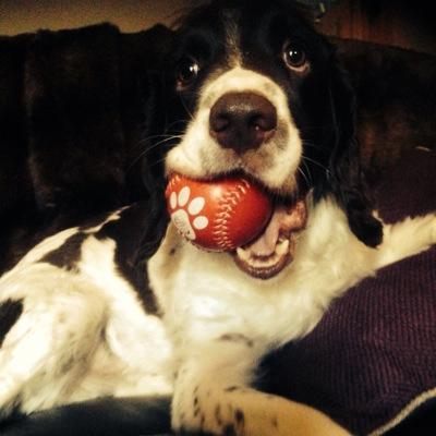 Profile Picture of Mitch Cherry-Nichols (@myminjo5) on Twitter