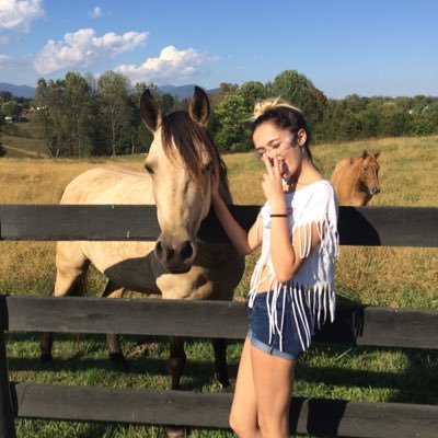 Profile Picture of Audrey Phillips (@pizza__steve101) on Twitter