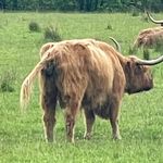 Marcus Osborn - Instagram Profile Picture of Marcus Osborn (@marcus_oz_68) on Instagram