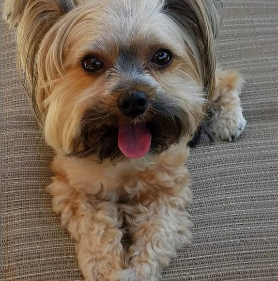 Profile Picture of Andrew Hao (@andyandy2709) on Poshmark