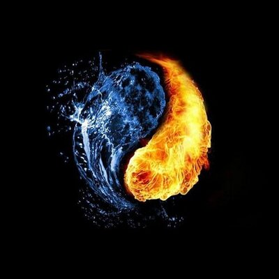 Profile Picture of Martin Alcocer (@wolf6910) on Twitter