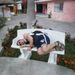 Profile Picture of David Radu (@davidresearch) on Pinterest