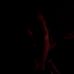Profile Picture of Brian Barras (@brian.barras.52) on Facebook