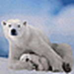 Profile Picture of Polarwelt (@polarwelt) on Flickr