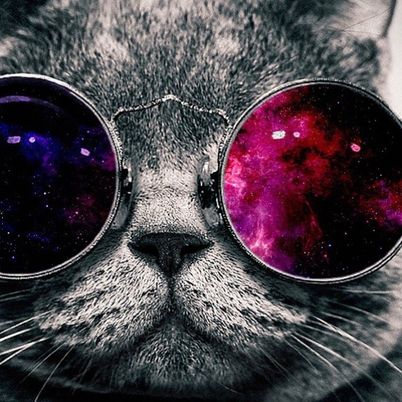 Profile Picture of Adrian Davis (@adrianbri) on Poshmark