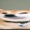 Profile Picture of Benjamin Capon (@@bcapon) on Tiktok