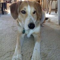 Profile Picture of Robert Minsterman (@rjminsterman) on Pinterest