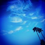 Profile Picture of Michael Pebley (@lets_get_trippy_3) on Instagram