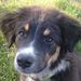 Profile Picture of Kevin Mcculley (@kevinmcculley12) on Pinterest