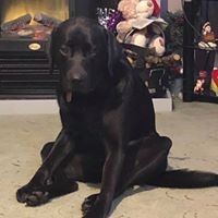 Profile Picture of Sam Lacy (@sam-lacy-10) on Quora