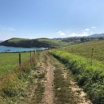 Profile Picture of Michael (@michael_fielden) on Instagram