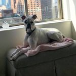 Profile Picture of Leah Ayala (@leah.ayala) on Instagram