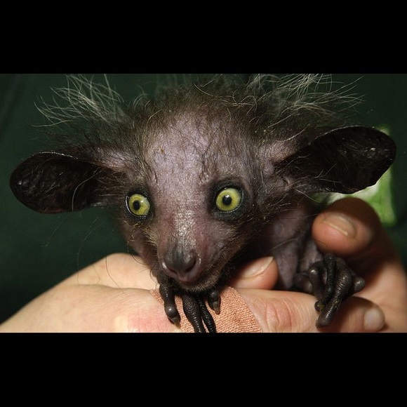 Profile Picture of Aidan Mccormack (@themackattack33) on Poshmark