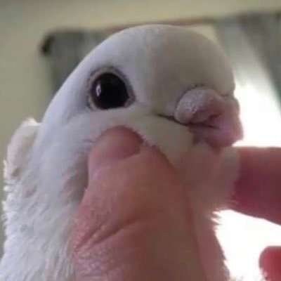 Profile Picture of Paul Gaffey (@PaulGaffey3) on Twitter