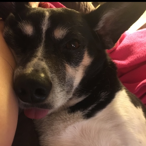 Profile Picture of Stella Andrews (@stellaeandrews) on Poshmark