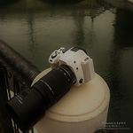 Profile Picture of %u6155%u767d %u8af8%u845b (@lucifer white) on Flickr