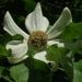 Profile Picture of Joanne Beck (@sacjo) on Pinterest