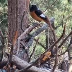 Profile Picture of Pavel Kim (@Pavel-Kim) on Facebook